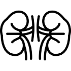 Department of Nephrology